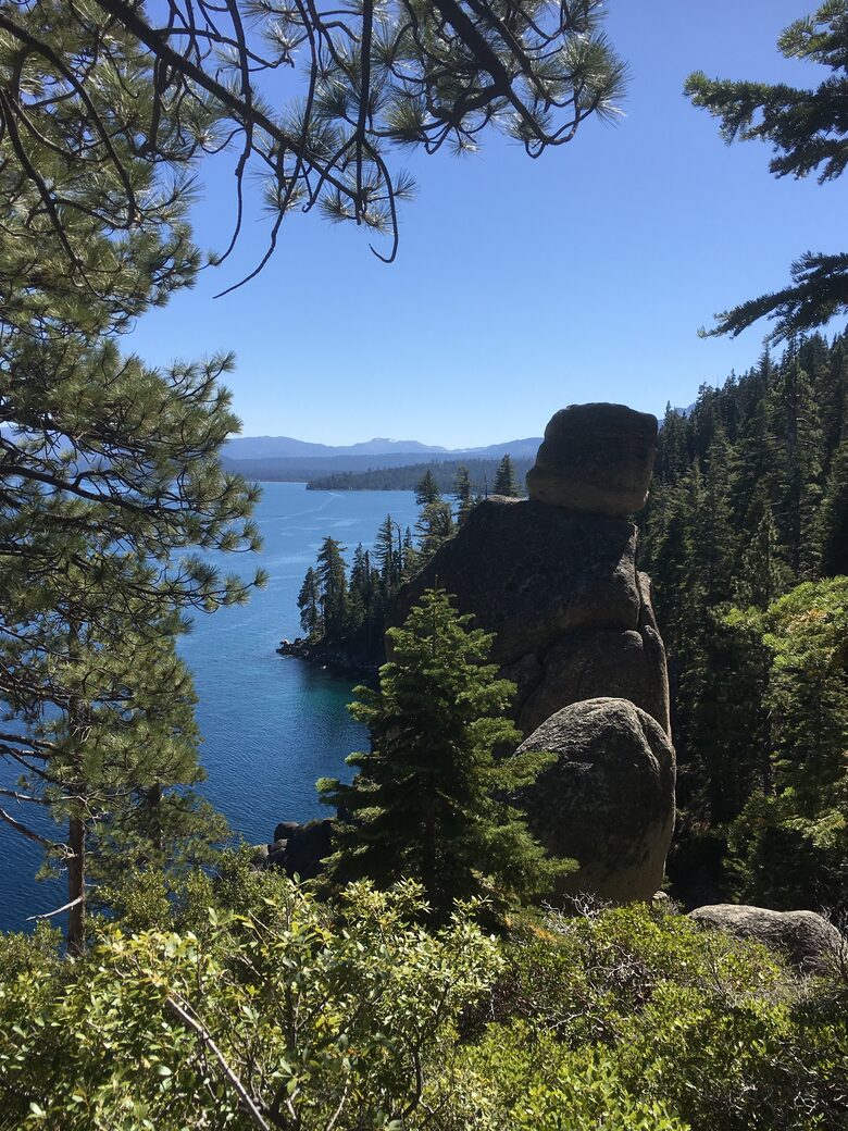 Tahoe Donner Cabin with Pine Forest Views and Trail Access - Truckee, California