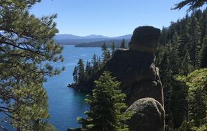Tahoe Donner Cabin with Pine Forest Views and Trail Access - Truckee, California
