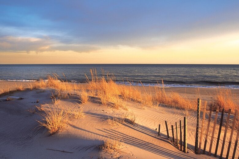 Hamptons - Montauk Luxury Modern Oasis, Walking Distance to Private Beach - Montauk, New York