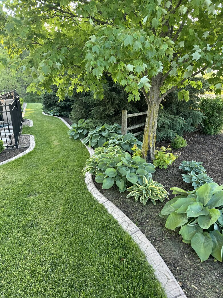 Fully Landscaped Yard, side view