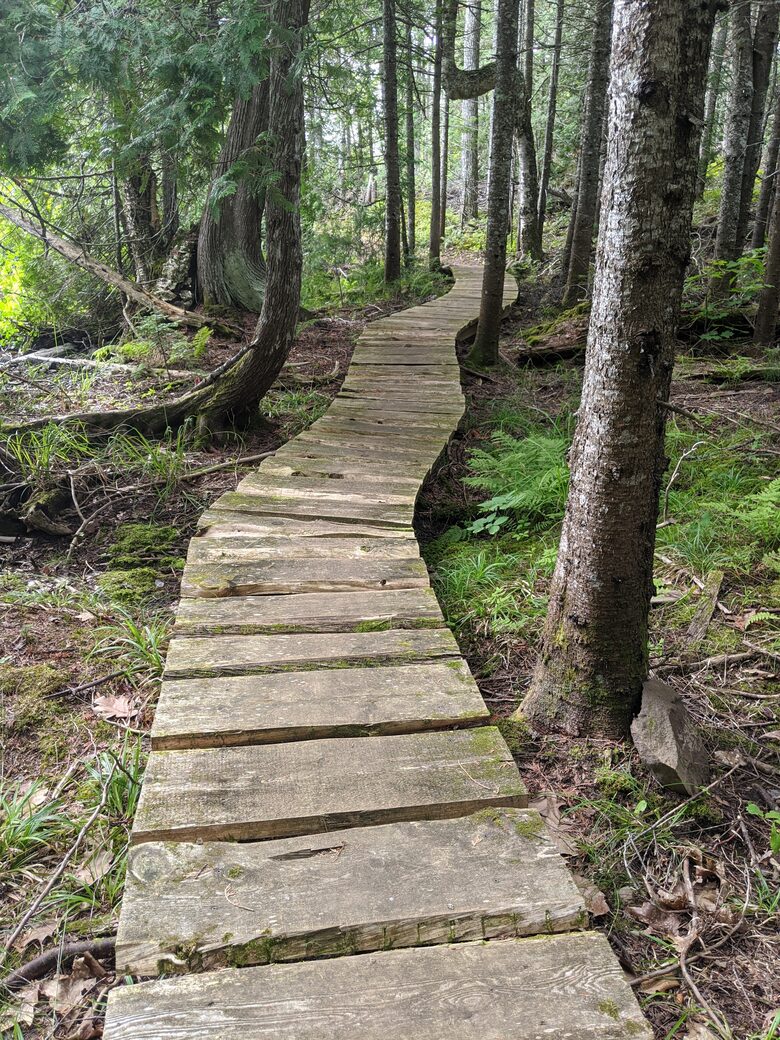 Section of our private 1-mile biking/hiking trail.