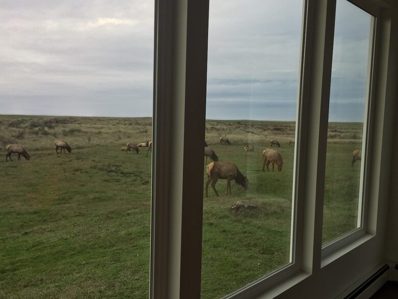 Oceanfront Mid Century Retreat with Private Beach Access in Gearhart - Gearhart, Oregon