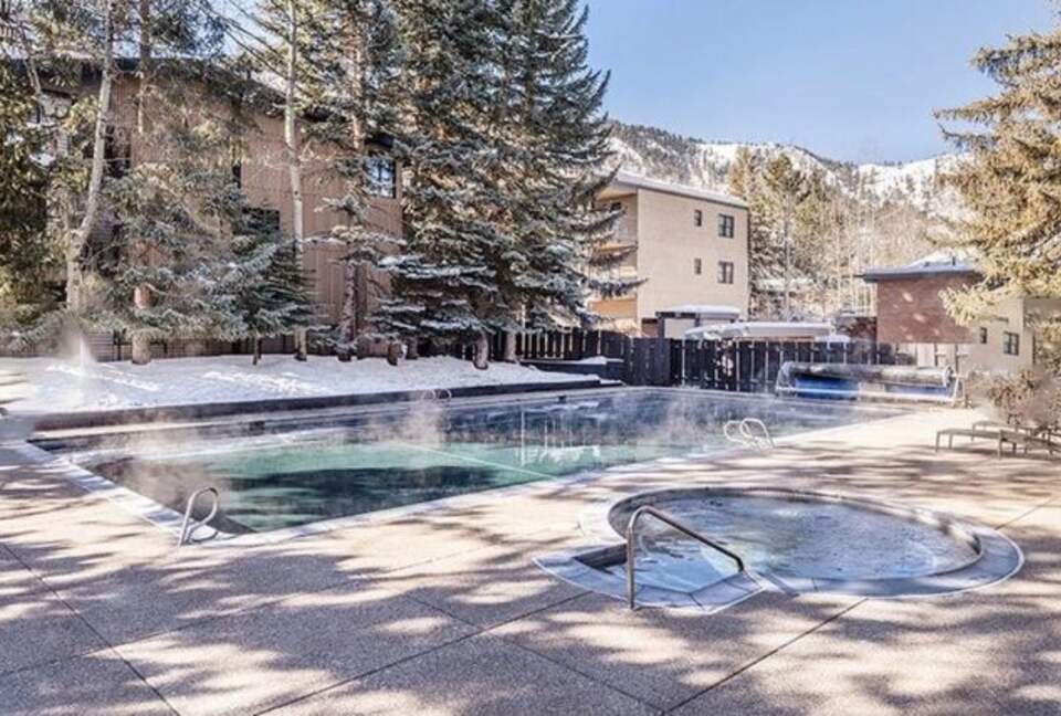 Plush Aspen Getaway - Aspen, Colorado