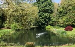 Rickmansworth escape - Rickmansworth, United Kingdom