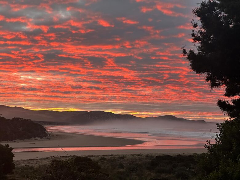Last Paradise | A Peaceful Catlins Escape - Owaka, New Zealand