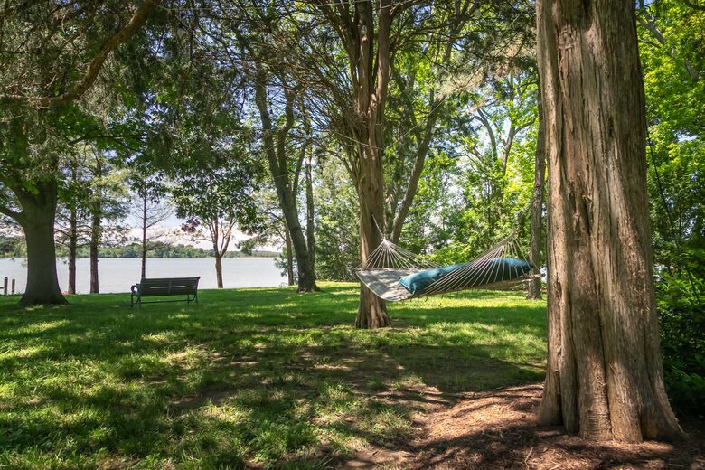 Baydream Believer - St. Michaels, Maryland