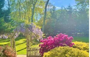 Classic Falmouth Retreat Steps from the Sand - East Falmouth, Massachusetts