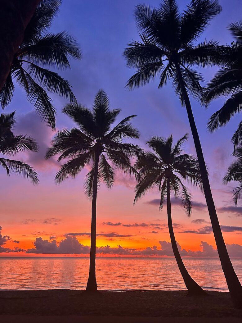 A Private Rainforest Hideaway Steps from Palm Cove Beach - Palm Cove, Australia
