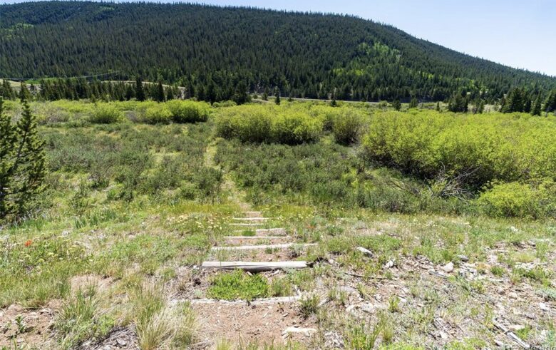 Historic Riverside Mountain Cabin on Five Private Alpine Acres - Alma, Colorado