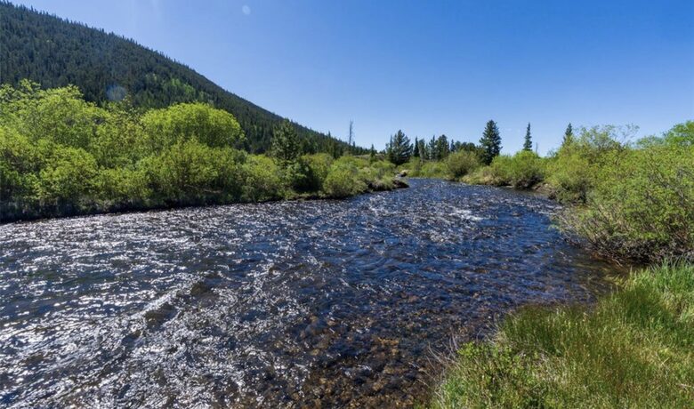 Historic Riverside Mountain Cabin on Five Private Alpine Acres - Alma, Colorado