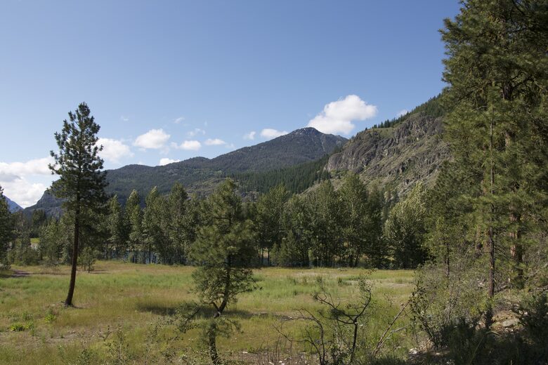 Modern Mountain Retreat with Trailside Access - Mazama, Washington
