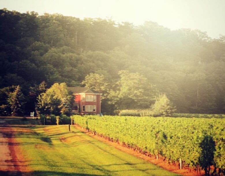 Niagara Vineyard Estate House - Niagara, Canada