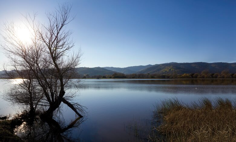 Quiet Northern California Getaway with Hilltop Views - Vacaville, California