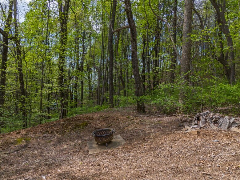 Peaceful Forest Escape Near Lake Lure & Tryon - Columbus, North Carolina
