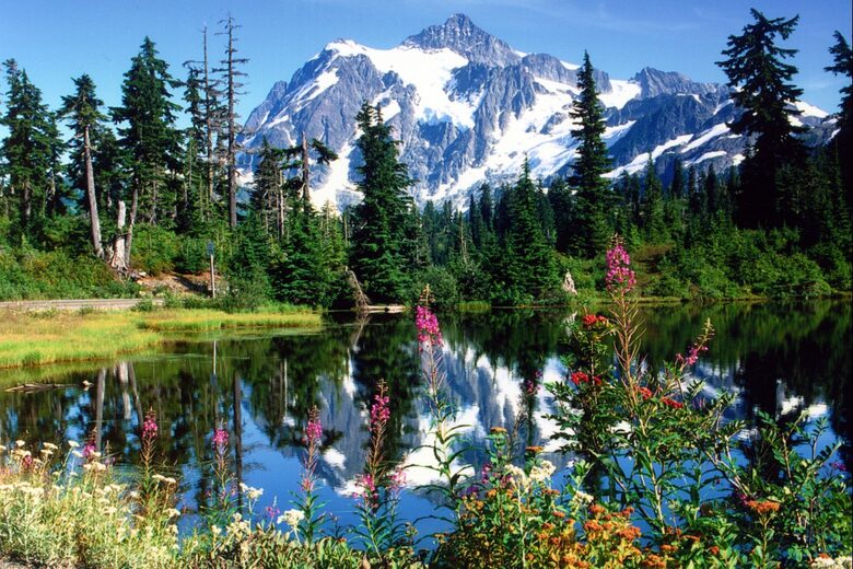 Cozy Mt. Baker Cabin with Forest & Mountain Views - Deming, Washington