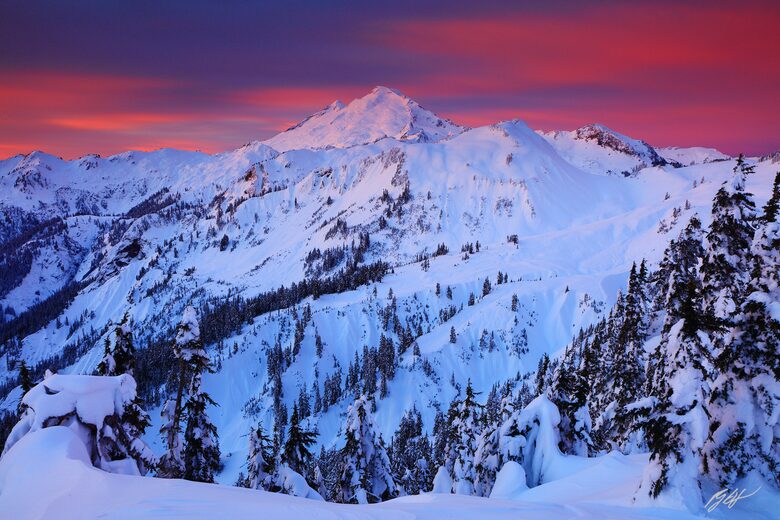 Cozy Mt. Baker Cabin with Forest & Mountain Views - Deming, Washington