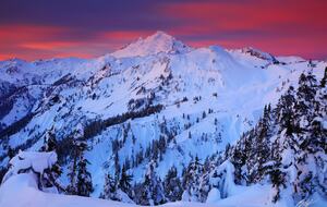 Cozy Mt. Baker Cabin with Forest & Mountain Views - Deming, Washington