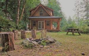 Cozy Mt. Baker Cabin with Forest & Mountain Views - Deming, Washington
