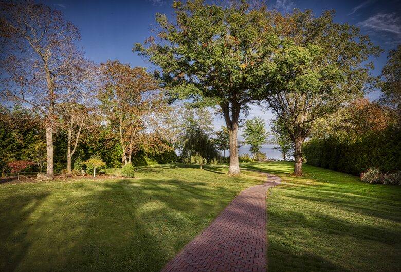 back yard with view of twin oaks & Seneca Lake