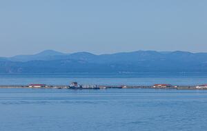 Oceanfront Cliffside Juan de Fuca Strait Retreat in Port Angeles - Port Angeles, Washington