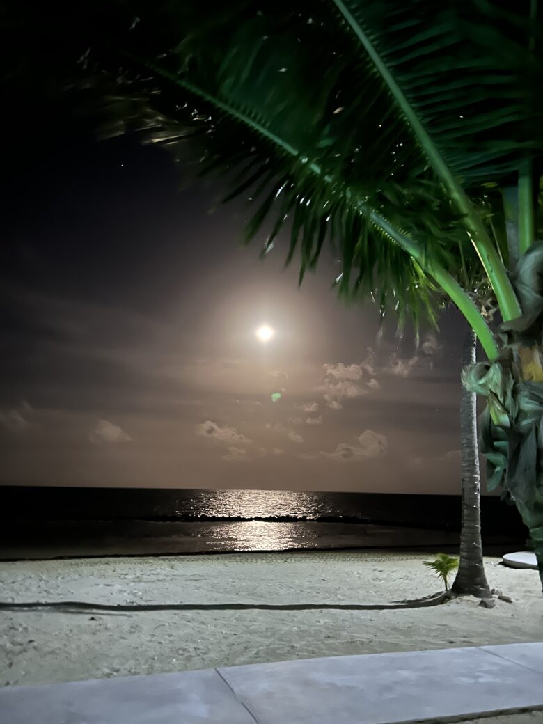 Sea View Residence at Blu Zen Belize Luxury Beach Resort | North Caye Caulker - Caye Caulker, Belize