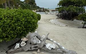 Sea View Residence at Blu Zen Belize Luxury Beach Resort | North Caye Caulker - Caye Caulker, Belize