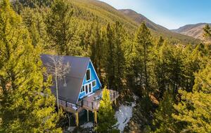 Scandinavian A-Frame with Sauna & Private Forest Trail - Grant, Colorado