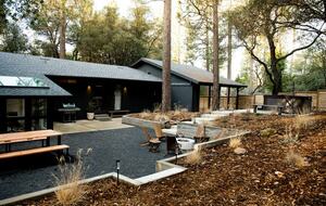 Modern Family Friendly Pine Mountain Lake Cabin | 30 miles from Yosemite - Groveland, California
