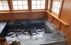Historic Family Estate with Indoor Hot Tub in Upstate New York - New Berlin, New York