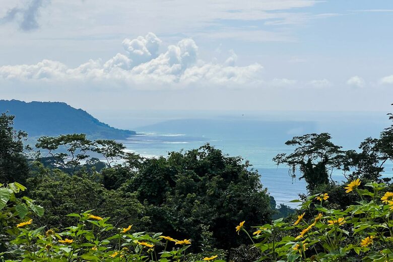 Santa Teresa Ocean Views and Regenerative Farm - Santa Teresa, Costa Rica