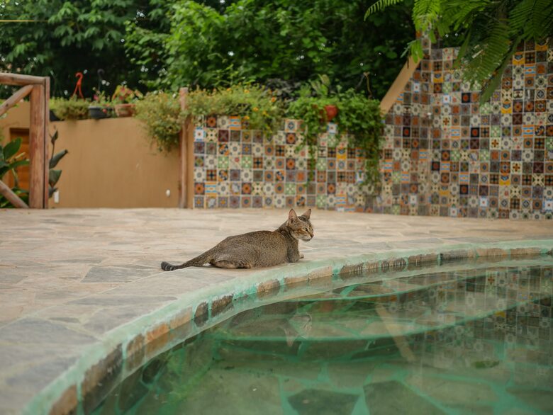 Villa de détente à Mazunte avec piscine privée. - Mazunte, Mexique
