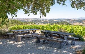 Wine Country Escape with Panoramic Vineyard Views - Paso Robles, California
