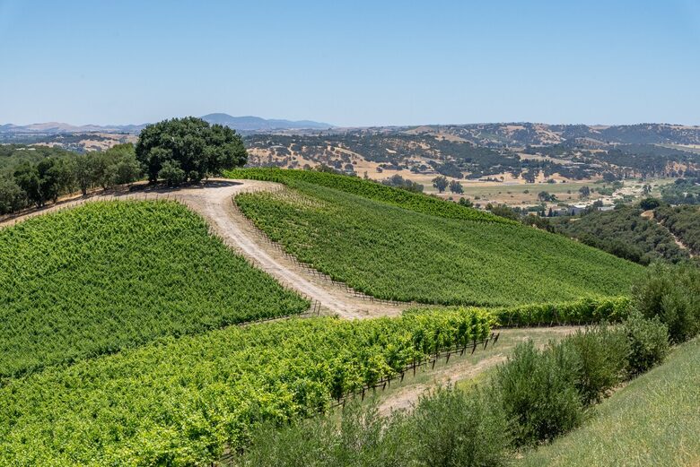 Private Vineyard Estate Retreat in Paso Robles Willow Creek District - Paso Robles, California