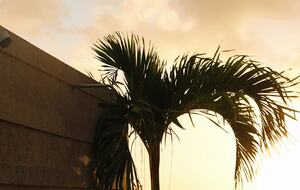 Rooftop Infinity Oasis Near Tulum Beach - Tulum, Mexico