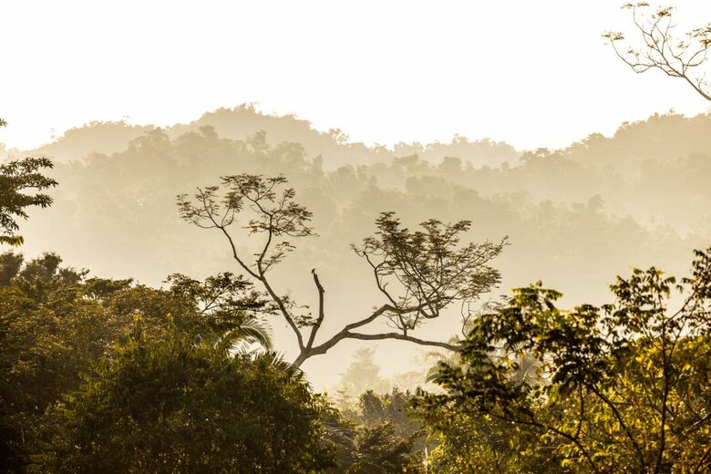 Jade Jungle Resort | All-Inclusive Eco-Luxury Full Resort on 300-Acre Private Reserve - Teakettle, Belize