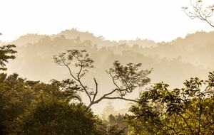 Jade Jungle Resort | All-Inclusive Eco-Luxury Full Resort on 300-Acre Private Reserve - Teakettle, Belize
