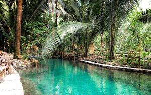 Jade Jungle Resort | All-Inclusive Eco-Luxury Full Resort on 300-Acre Private Reserve - Teakettle, Belize