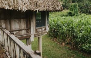 Jade Jungle Resort | All-Inclusive Eco-Luxury Full Resort on 300-Acre Private Reserve - Teakettle, Belize