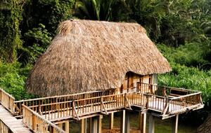 Jade Jungle Resort | All-Inclusive Eco-Luxury Full Resort on 300-Acre Private Reserve - Teakettle, Belize