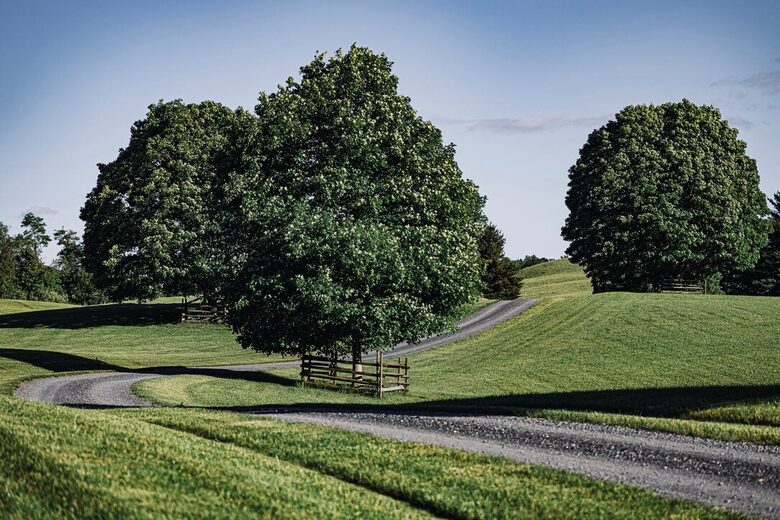 Soulful Delaplane Retreat on 44 Private Acres - Delaplane, Virginia