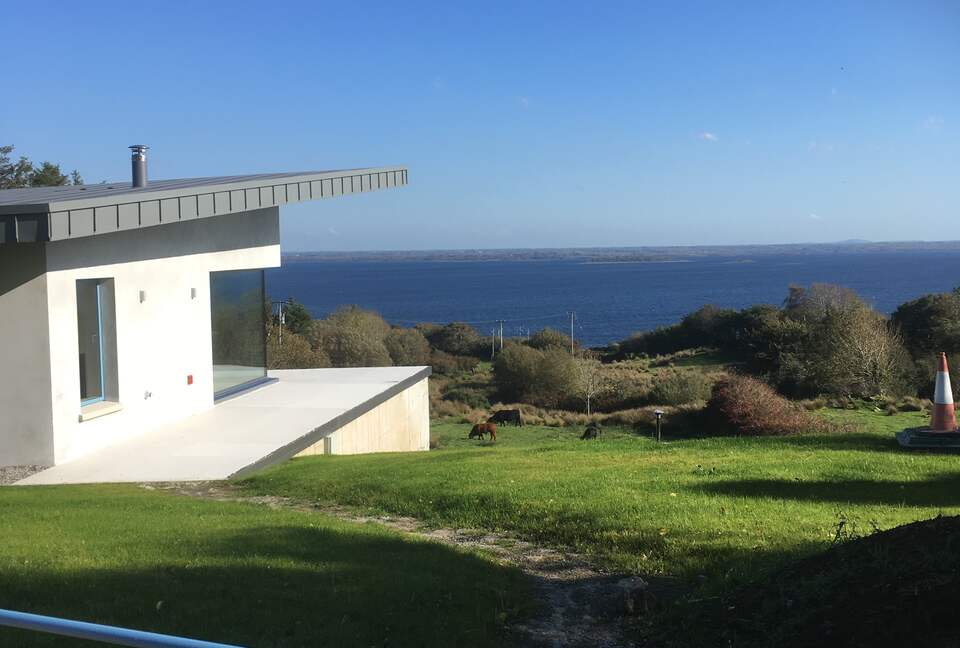 Terrace and garden