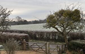 A delightful New Forest Cottage with Orchard and Shepherd’s Hut - Lyndhurst, United Kingdom