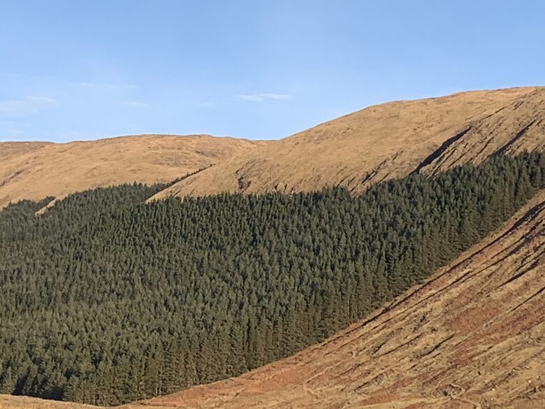 Local walk