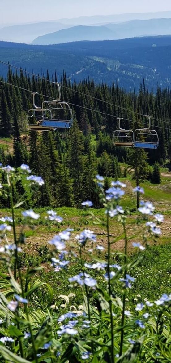 Ski-In Ski-Out Living at Echo Landing in Sun Peaks - Sun Peaks, Canada