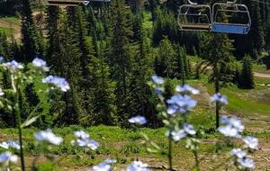 Ski-In Ski-Out Living at Echo Landing in Sun Peaks - Sun Peaks, Canada