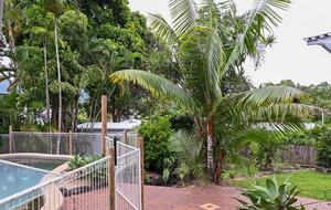 Tropical Garden Pool Retreat Near Trinity Beach - Trinity Beach, Australia