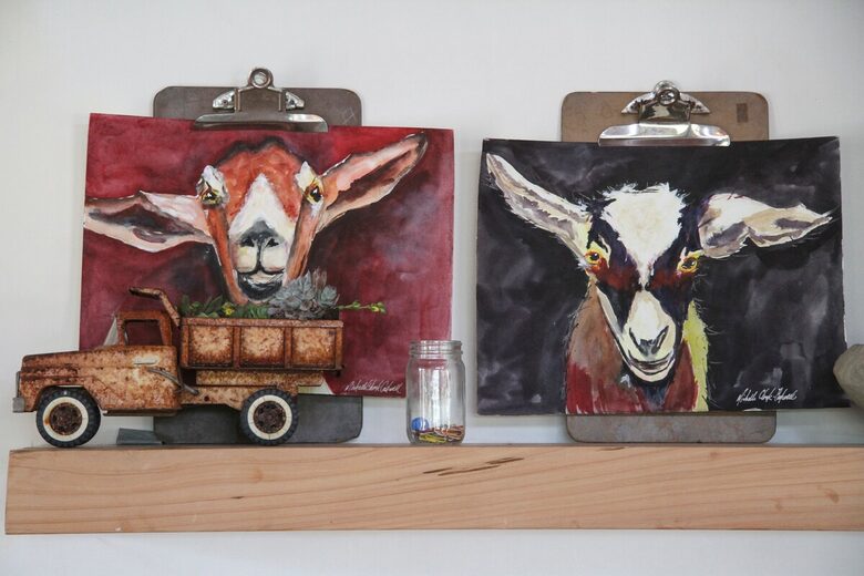 Marin County Regenerative Farm with Artisan Creamery - Petaluma, California