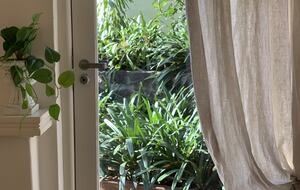 1930s Garden Townhouse Steps to the Yarra River - South Yarra, Australia