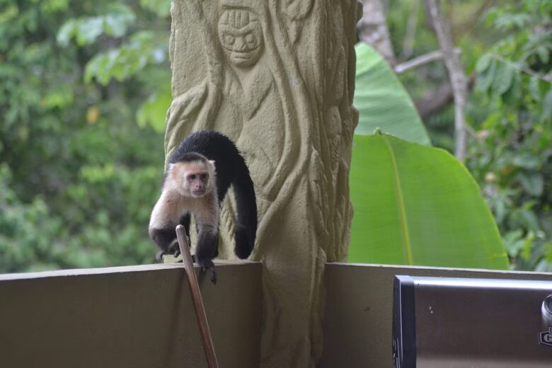 Rainforest Estate with Ocean Views near Manuel Antonio National Park - Quepos, Costa Rica