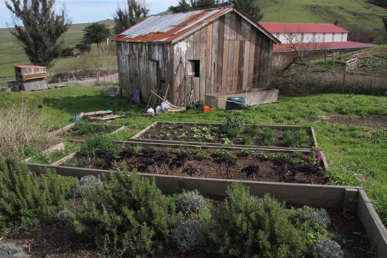 Marin County Regenerative Farm with Artisan Creamery - Petaluma, California